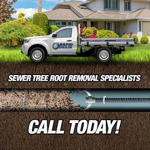 Sewer Tree Root Removal Specialists In Cleveland